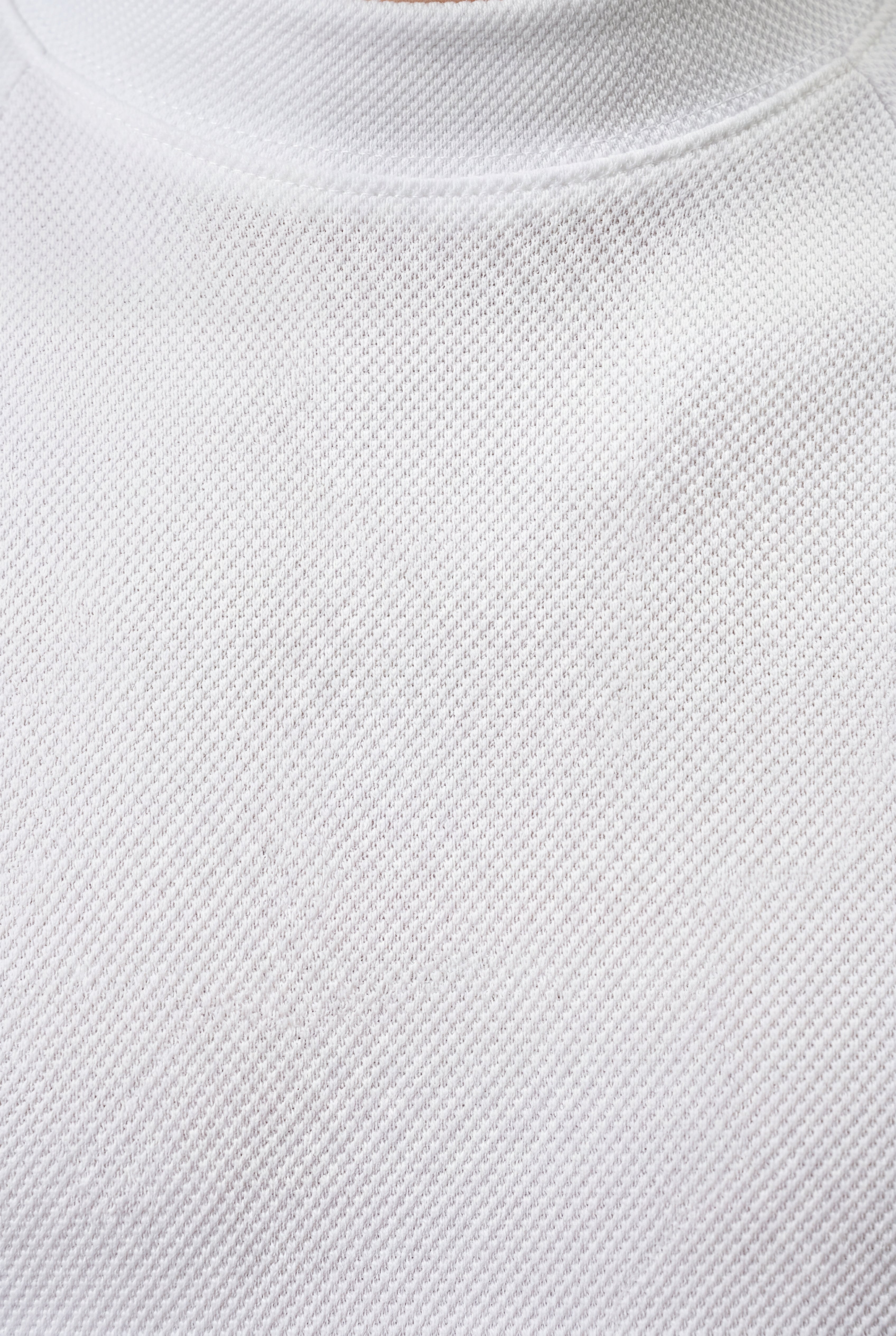 Fitted T-shirt for everyday wear – Short-sleeved, high-necked T-shirt for men